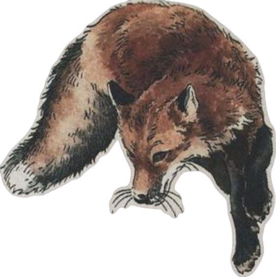 Fox